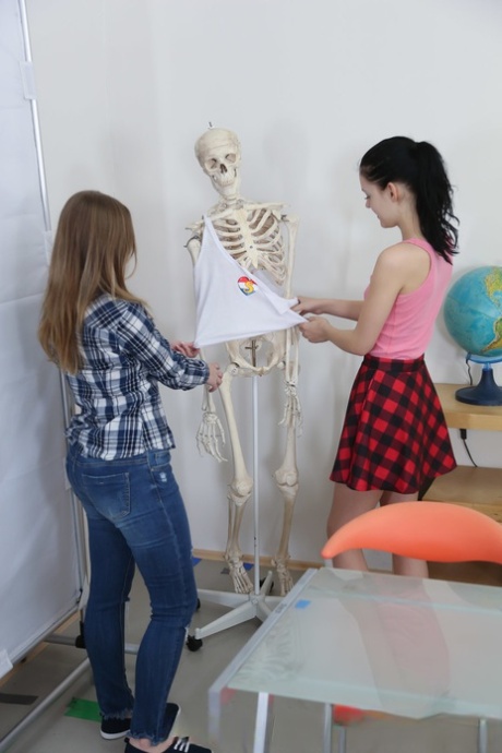 Schoolgirls Anie Darling and Lady Bug seduce & fuck their black teacher