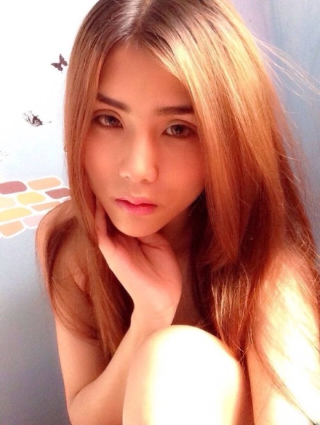 Hello Ladyboy
