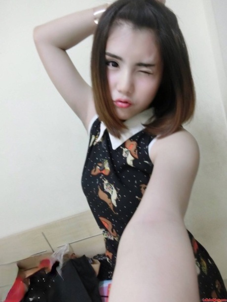 Hello Ladyboy