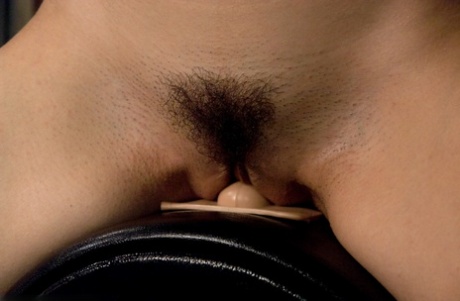 Skinny brunette Sasha Grey rides a Sybian to orgasm while bound